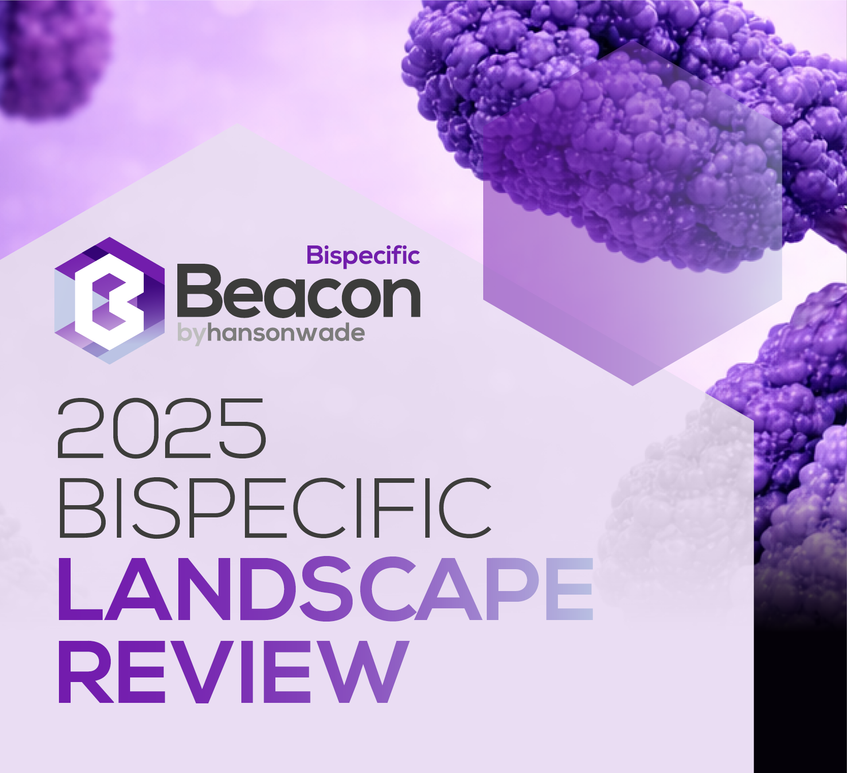 2025 Bispecific Landscape Review